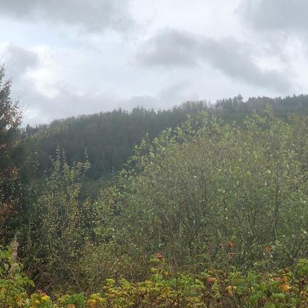 Fewo Berg Idyllika Willingen  Ngoại thất bức ảnh
