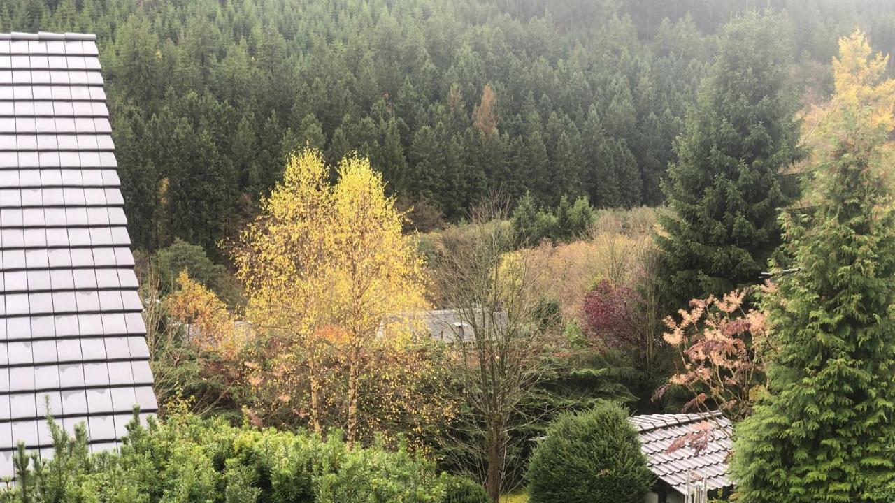 Fewo Berg Idyllika Willingen  Ngoại thất bức ảnh