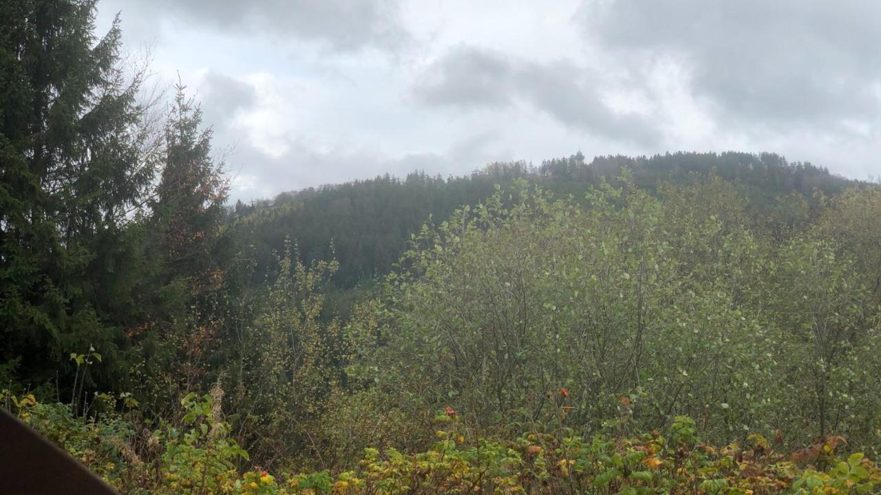 Fewo Berg Idyllika Willingen  Ngoại thất bức ảnh