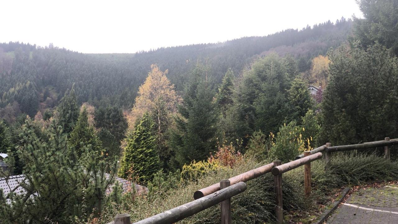 Fewo Berg Idyllika Willingen  Ngoại thất bức ảnh