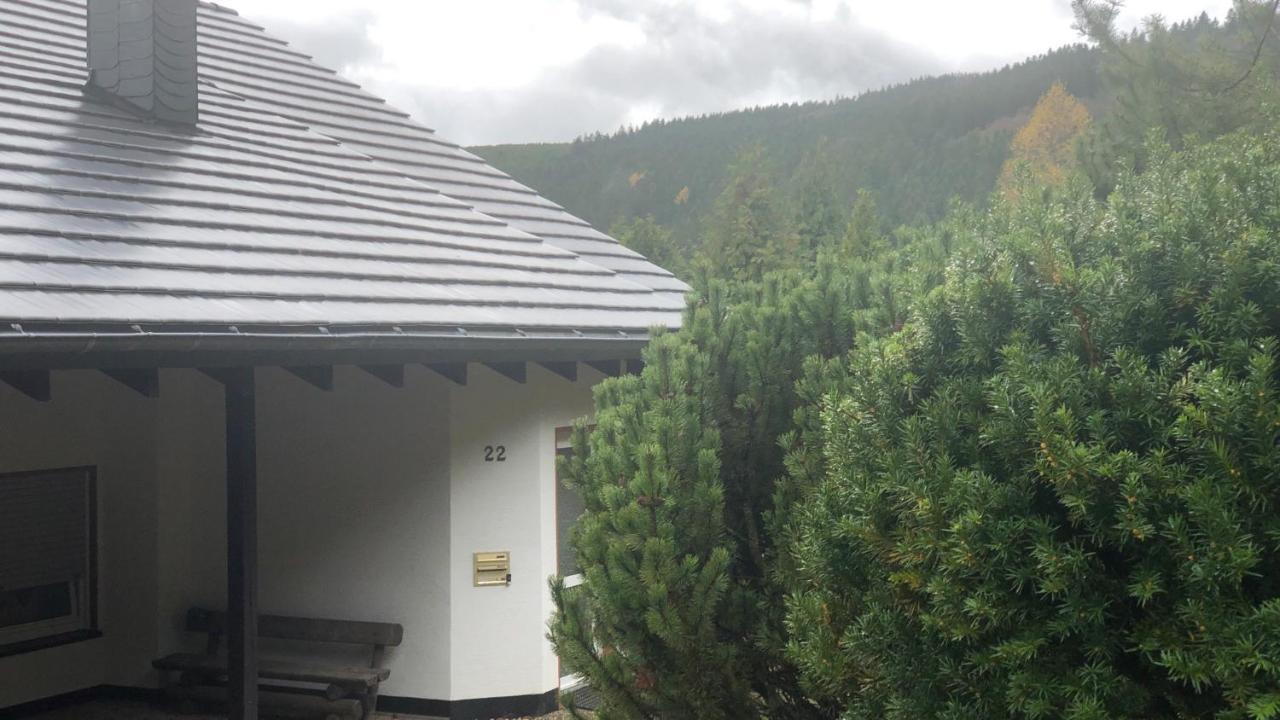 Fewo Berg Idyllika Willingen  Ngoại thất bức ảnh